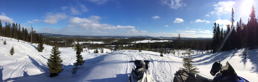 Mysiga kullar att surfa och hoppa över